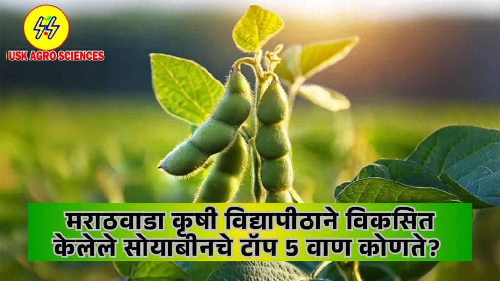Soyabean Variety 2025