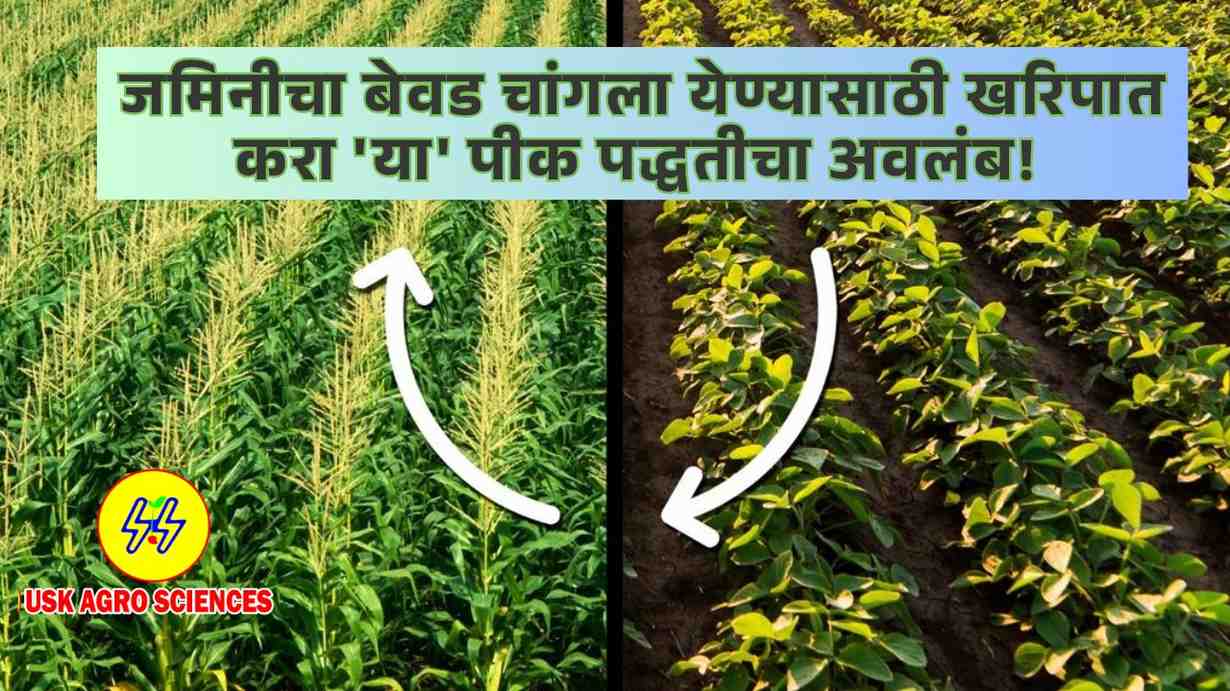 Soil Fertility 2025