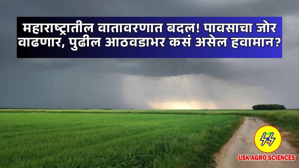 Maharashtra Weather 2025