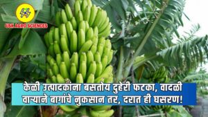 Banana Farming 2025