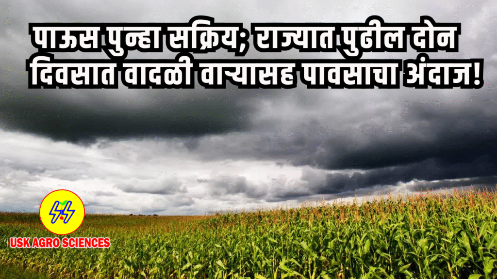 Maharashtra Rain Update 2025