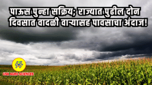 Maharashtra Rain Update 2025