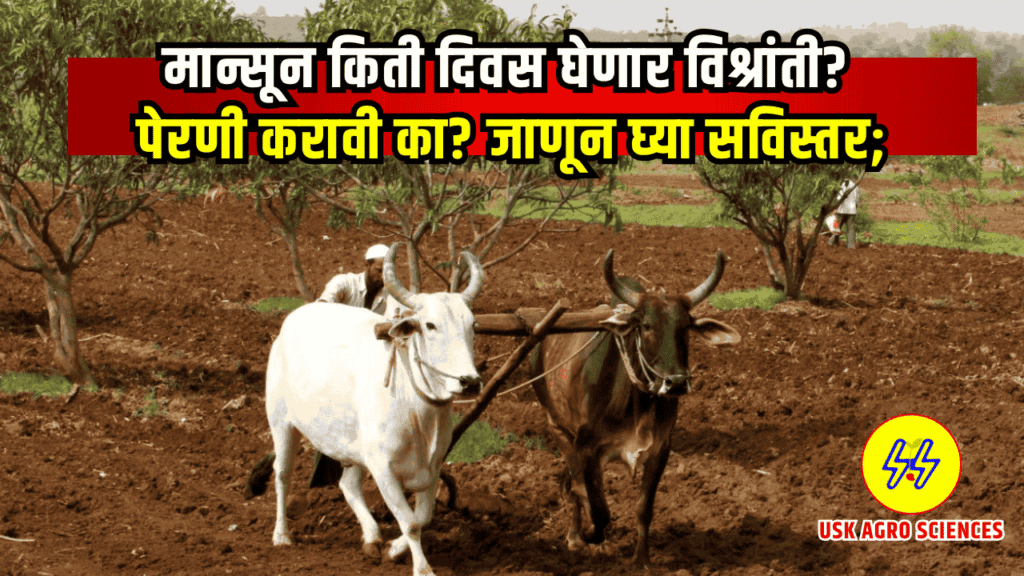 Monsoon Update 2025