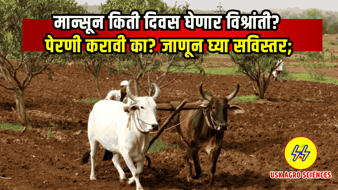 Monsoon Update 2025