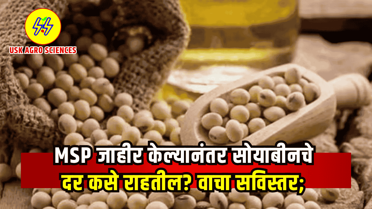 Soyabean Bajarbhav 2025