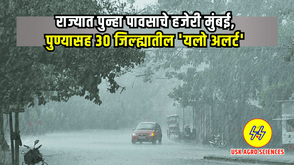 Maharashtra Weather Update 2025