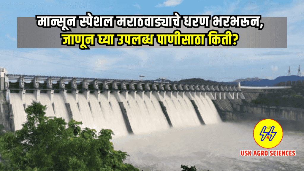 Marathawada Dam Water 2025