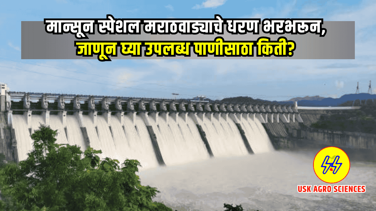 Marathawada Dam Water 2025