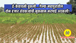 Nuksan Bharpai 2025