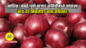 Kanda Bajarbhav 2025