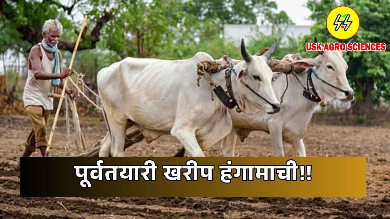 Kharif Season 2025