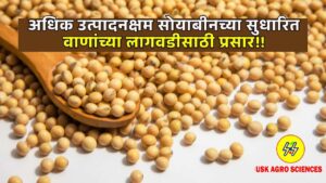 Cultivation of more Productive Soybeans 2025