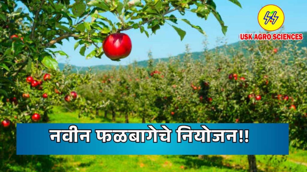 Planning New Orchard 2025