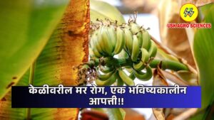 Banana Blight, a Future Disaster 2025