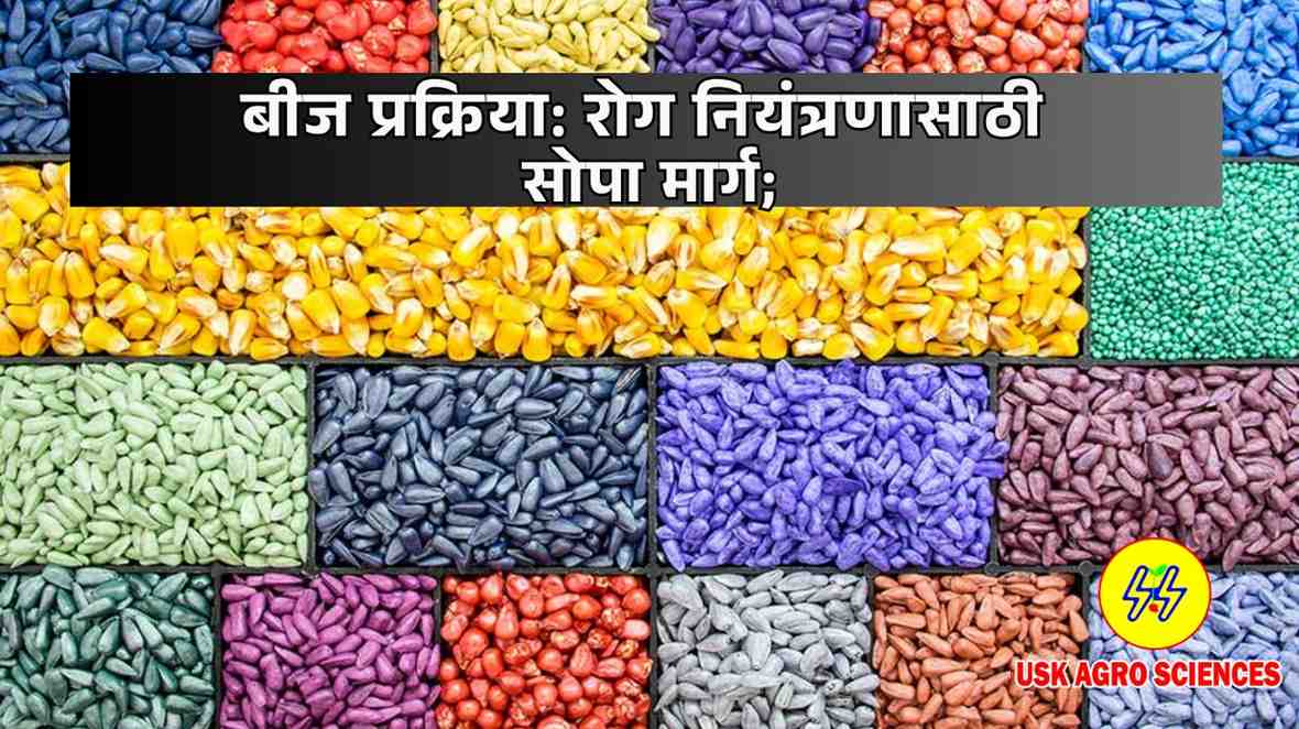 Control Seed Treatment Diseases 2025