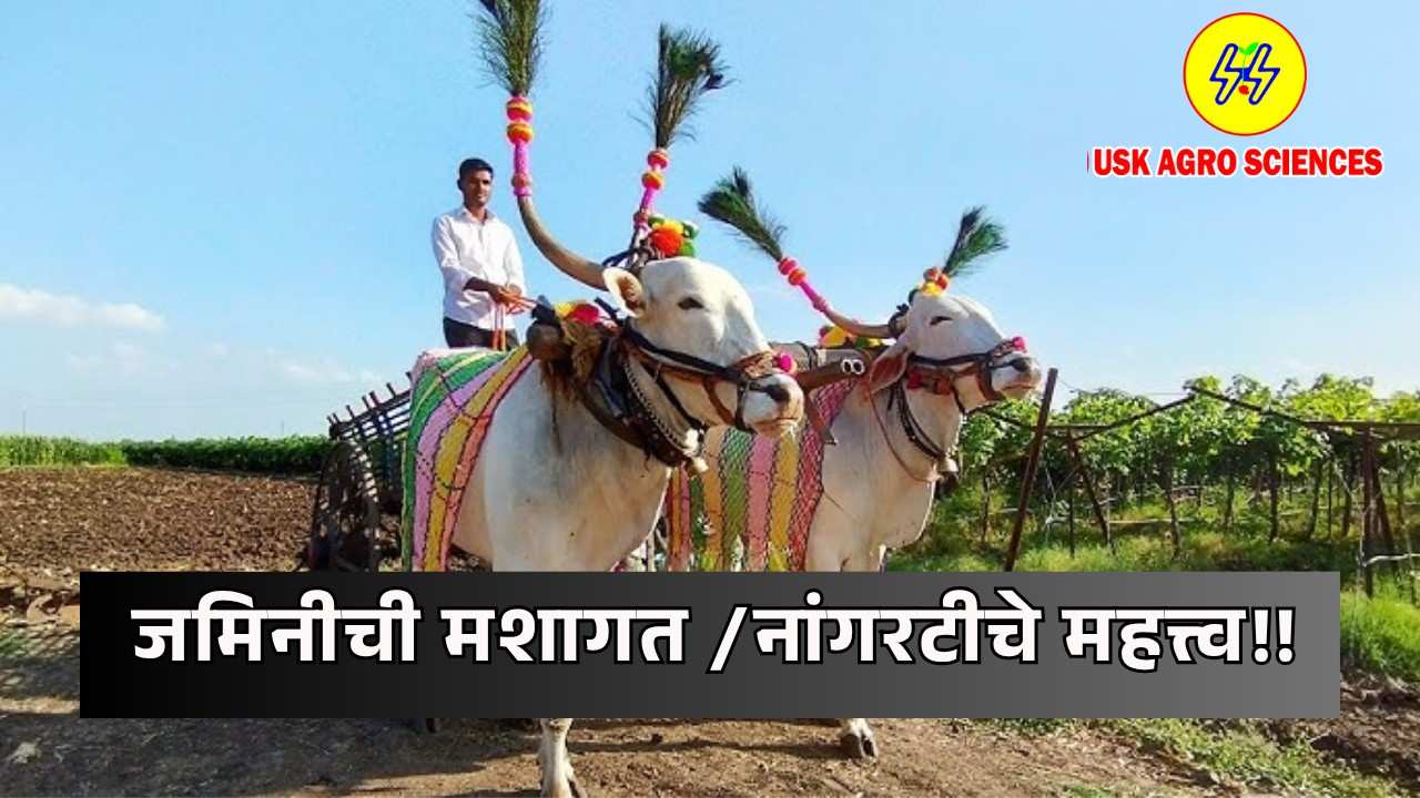 Importance of Soil Cultivation /Ploughing 2025
