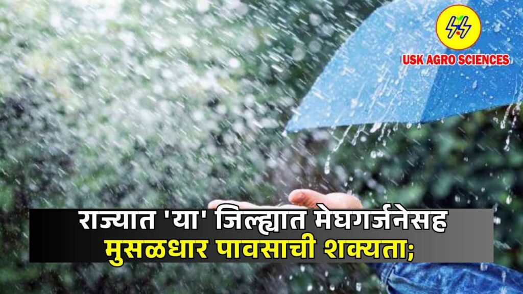 Maharashra Weather Update 2025