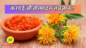 Safflower Seed Production Technology 2025