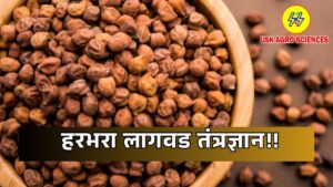 Gram Cultivation Technology 2025