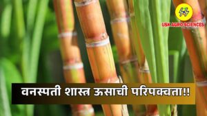 Botany Sugarcane Maturity 2025