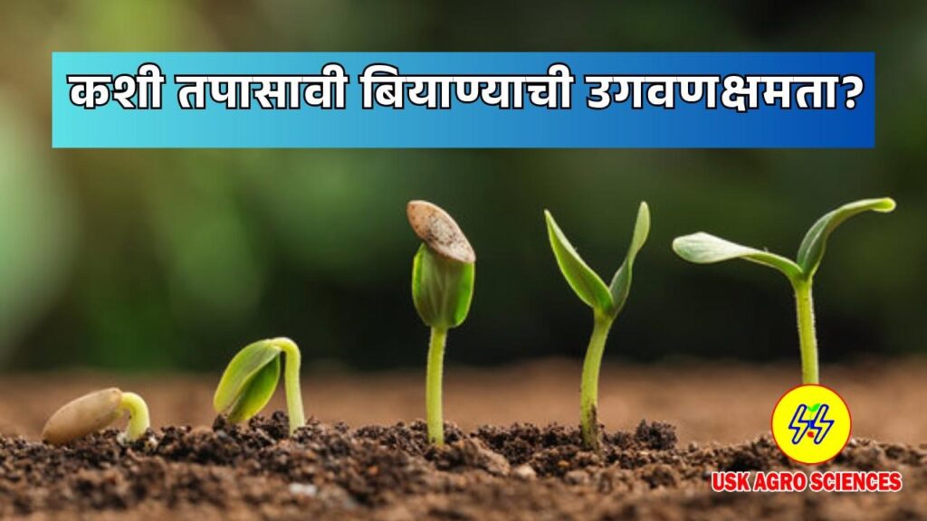 Seed Germination 2025