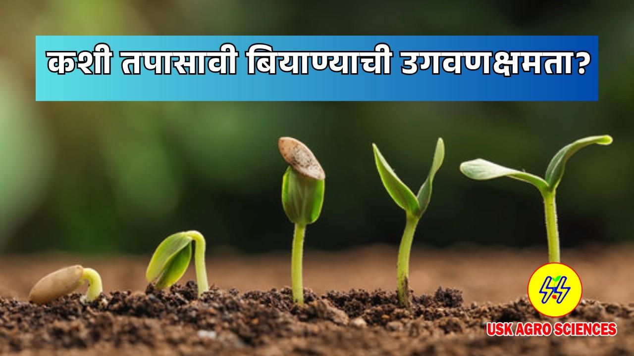 Seed Germination 2025