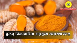 Nutrient Management for Turmeric Crop 2025