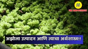 Azolla Production and its Economics 2025