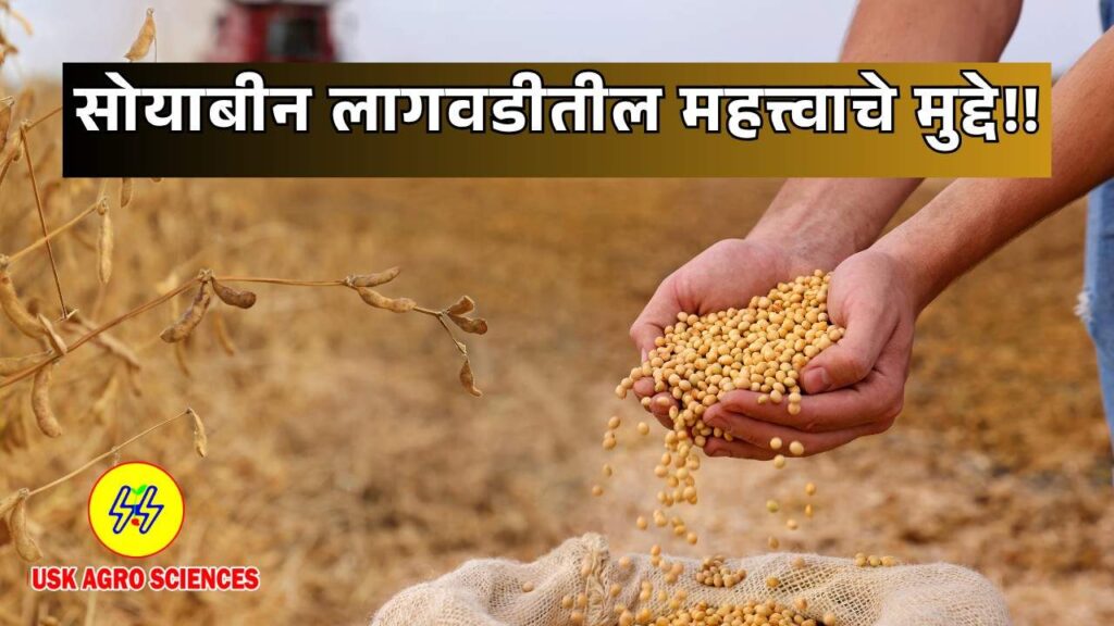 Soybean Cultivation 2025