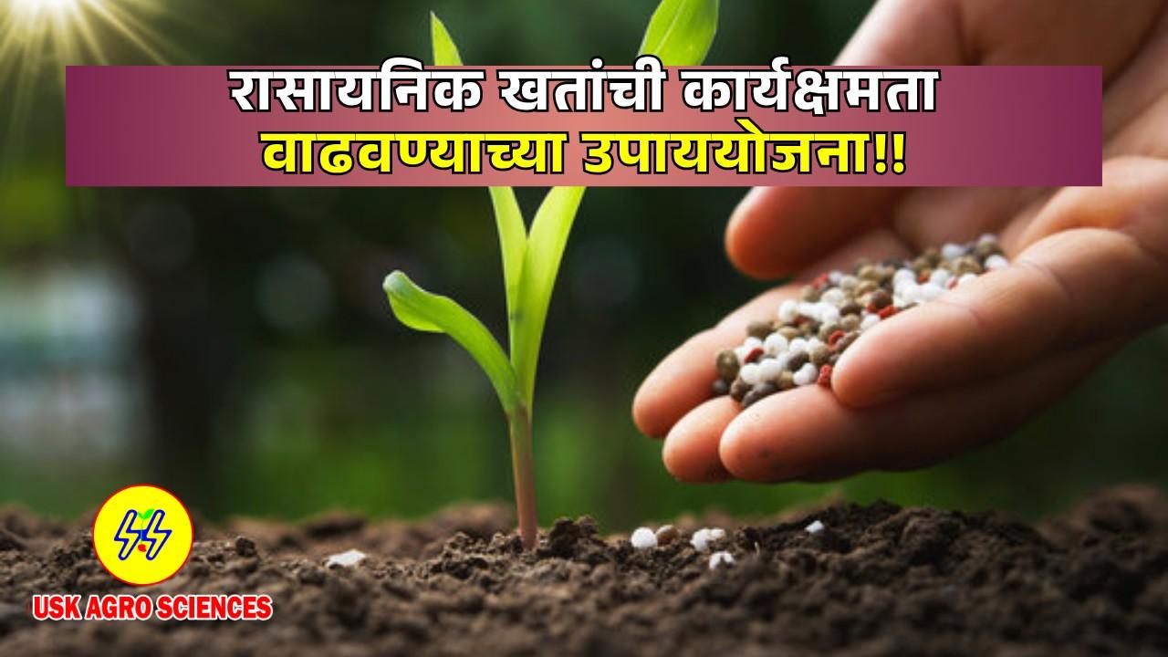 Chemical Fertilizers 2025