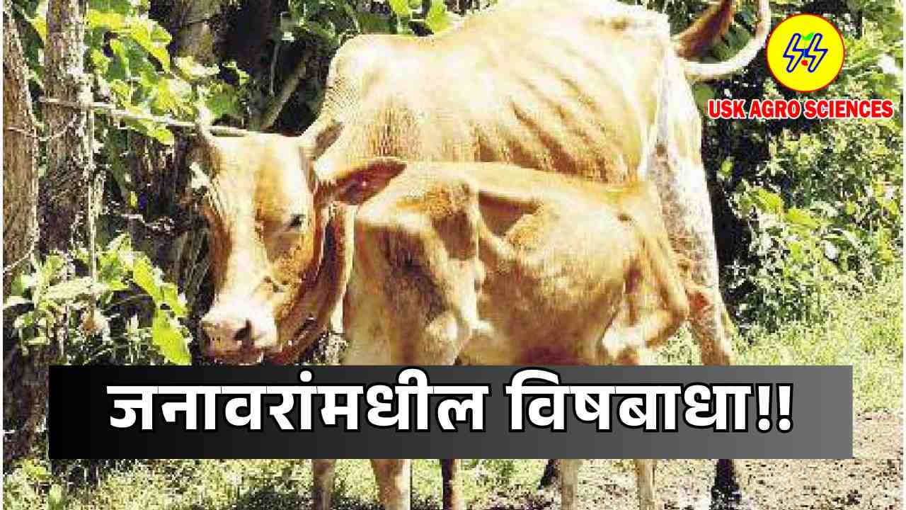 Poisoning in Animals 2025