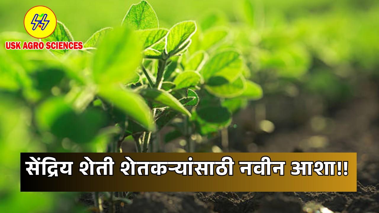 Organic Farming 2025