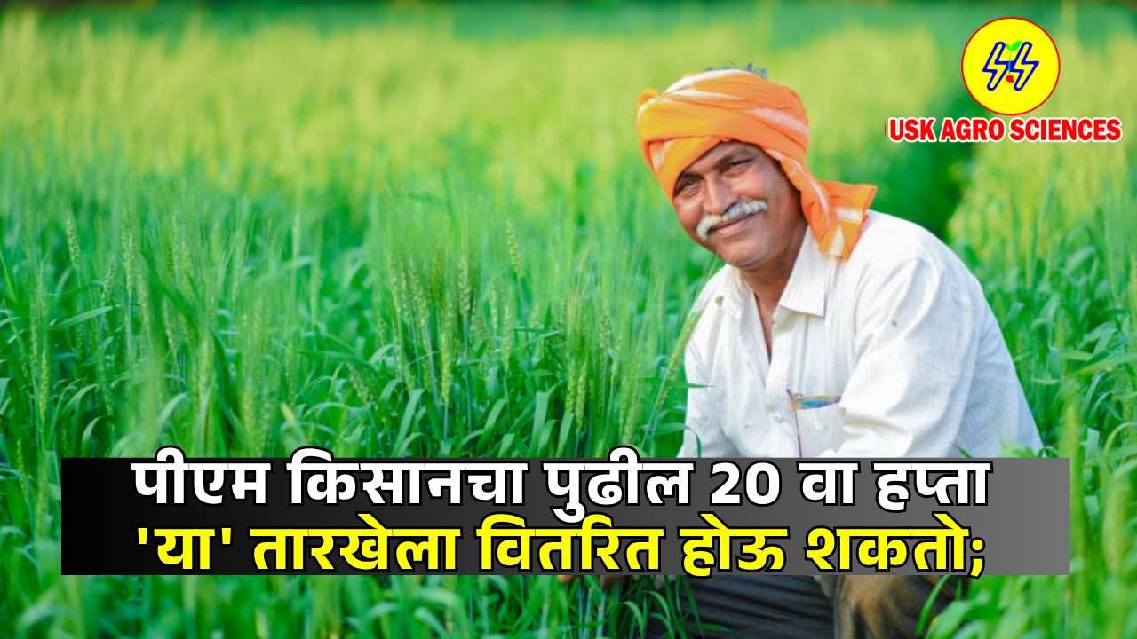 PM Kisan Scheme 2025