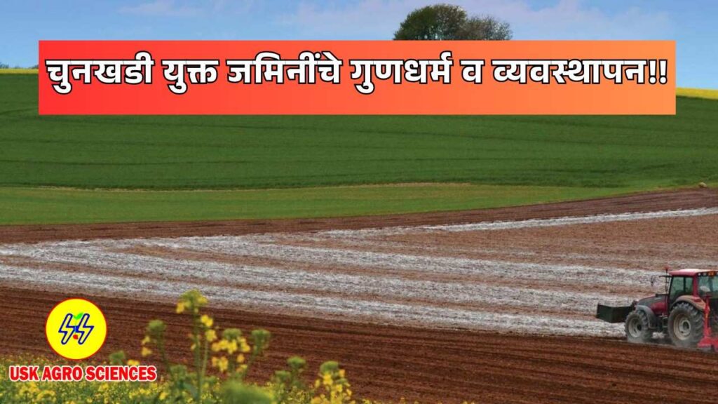 Limestone Soils 2025