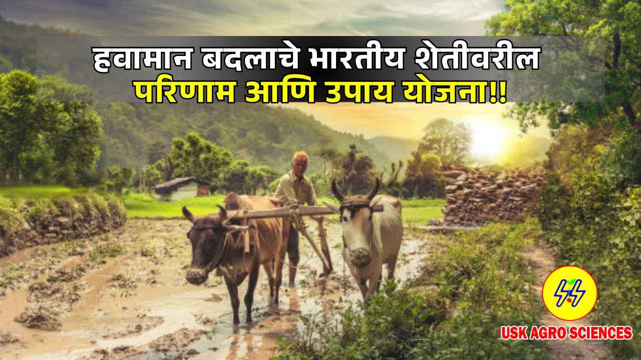 Indian Agriculture and Countermeasures 2025