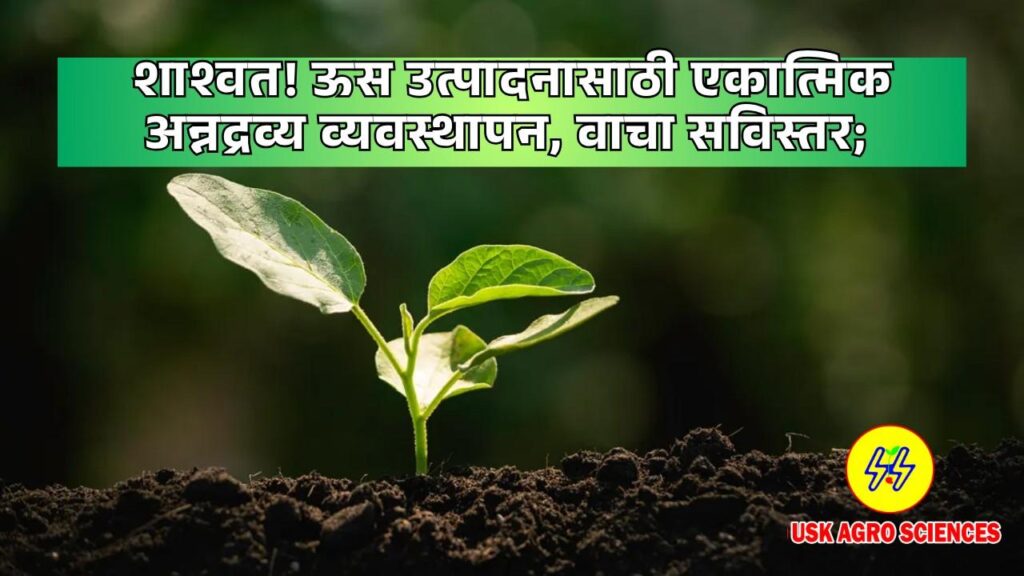 Nutrient Management 2025