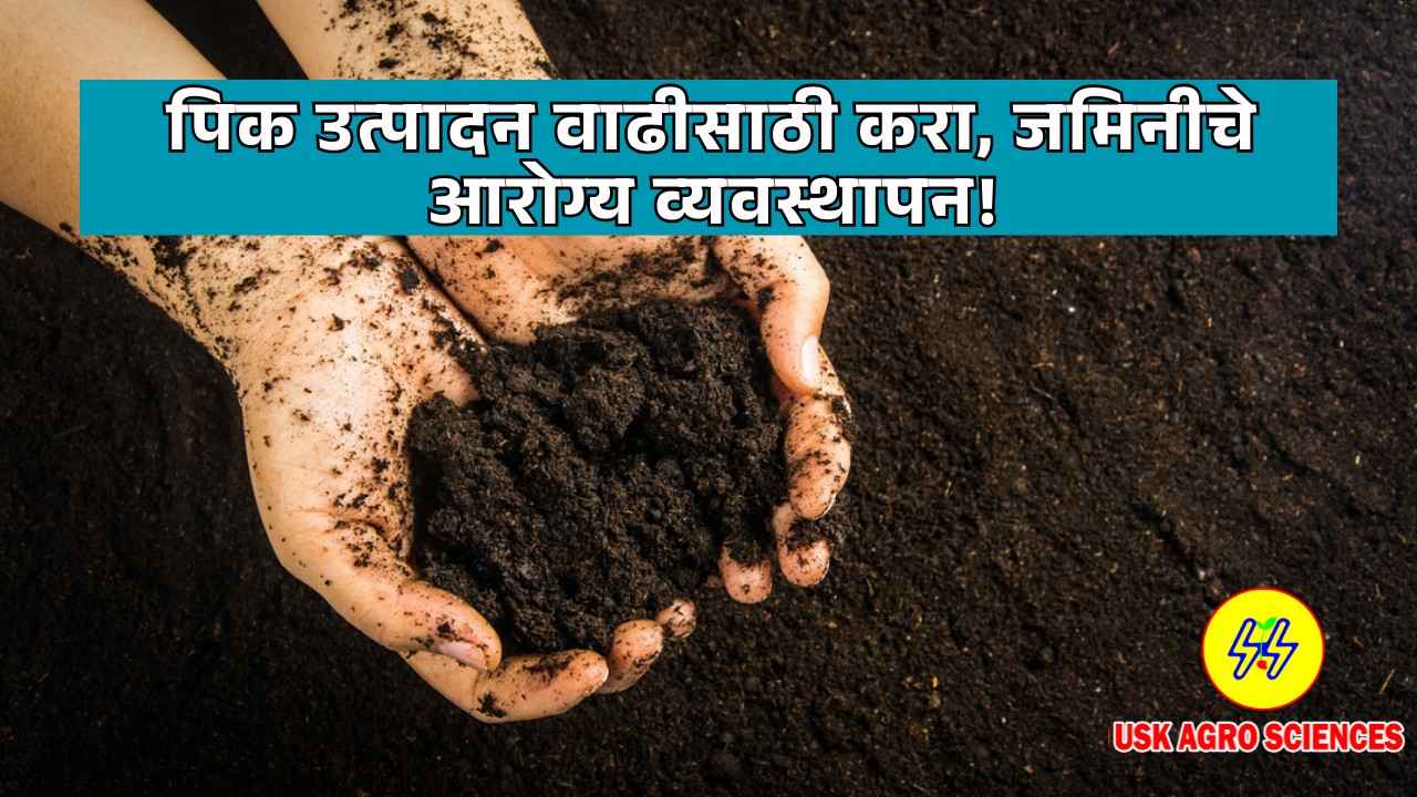 Soil Management 2025