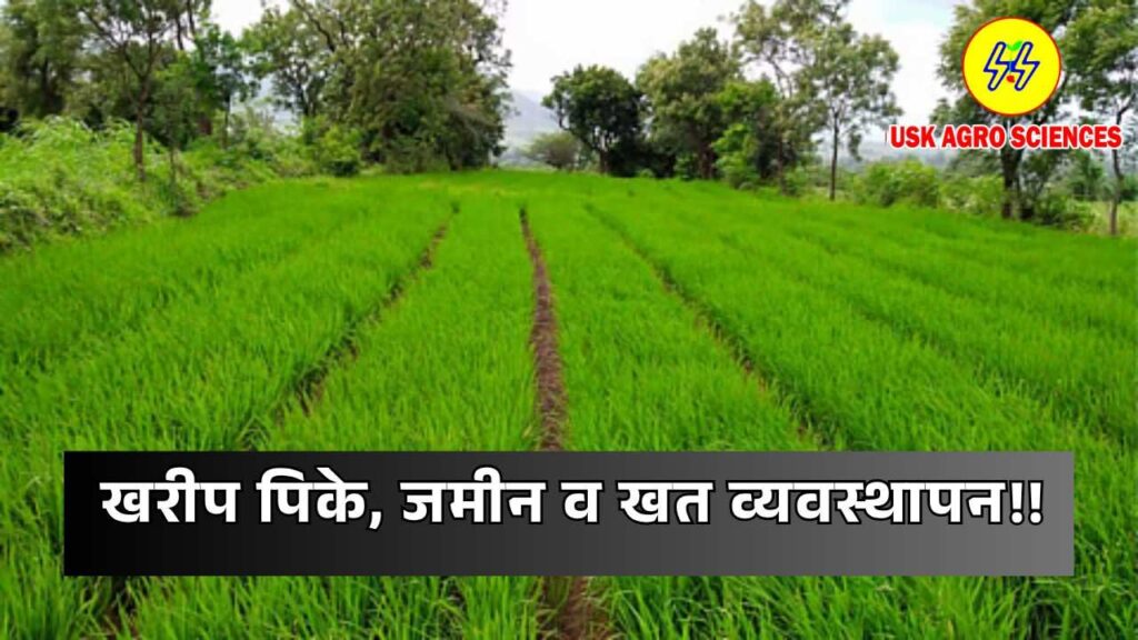 Kharif Crops Land and Fertilizer 2025
