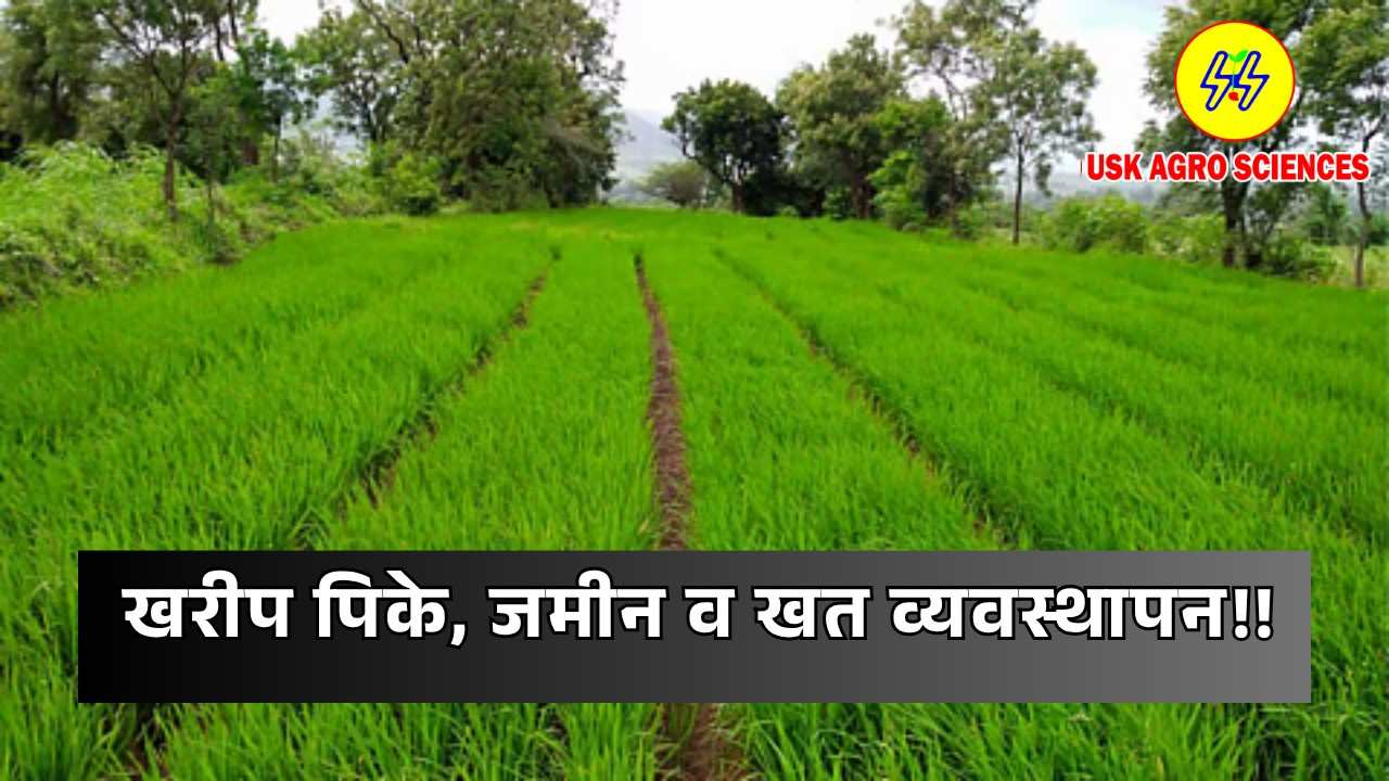 Kharif Crops Land and Fertilizer 2025