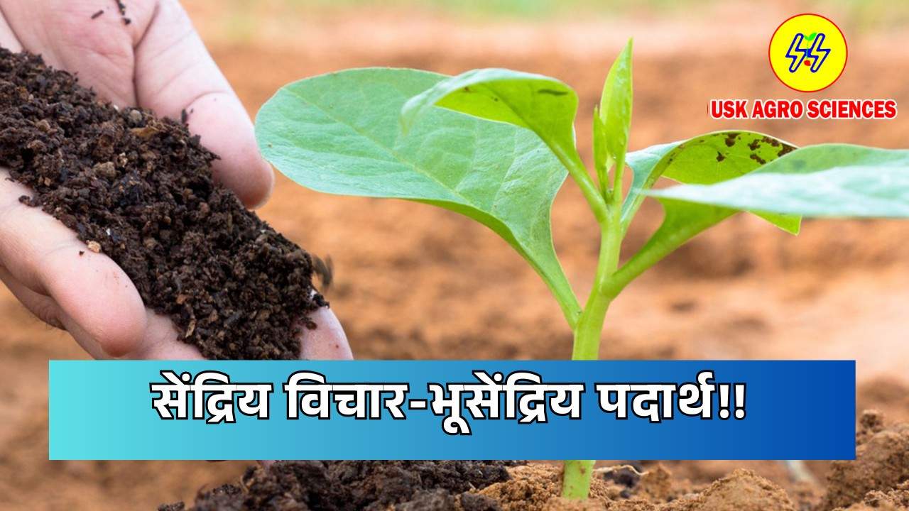 Organic Thinking Geoorganic Matter 2025