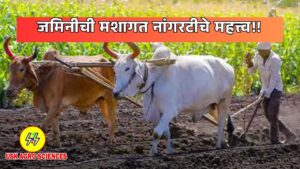Land Cultivation 2025