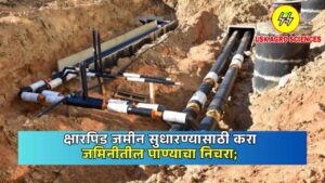 Drainage of Soil Water to Improve Alkaline Soil 2025
