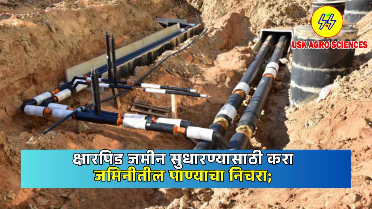 Drainage of Soil Water to Improve Alkaline Soil 2025