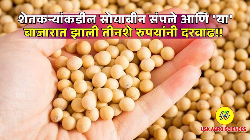 Soybean Bajarbhav 2025