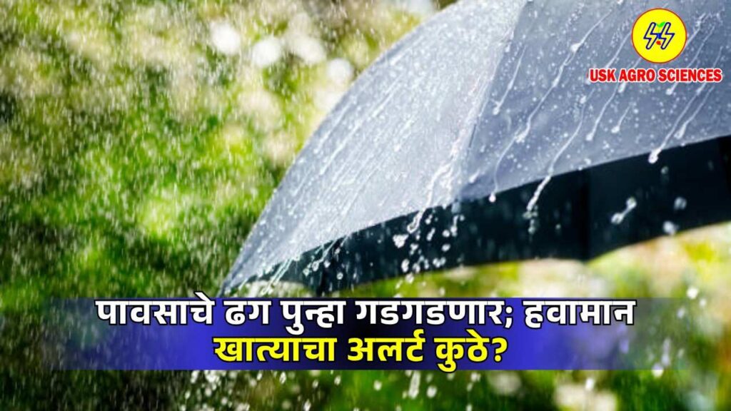 Maharashtra Weather Update 2025