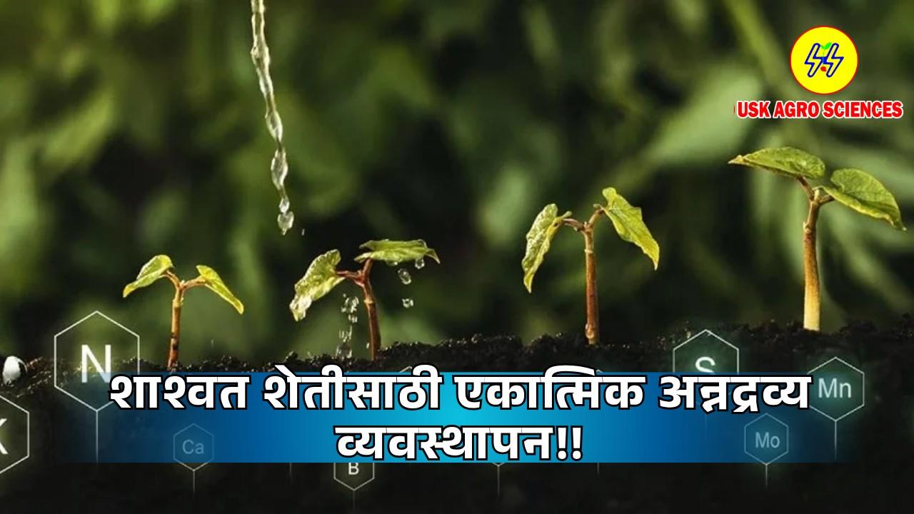 Integrated Nutrient Agriculture 2025