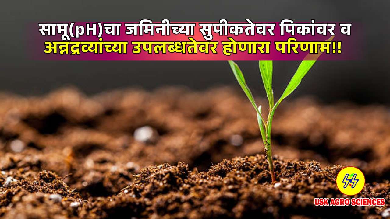 Soil Fertility,Crops & Nutrient 2025