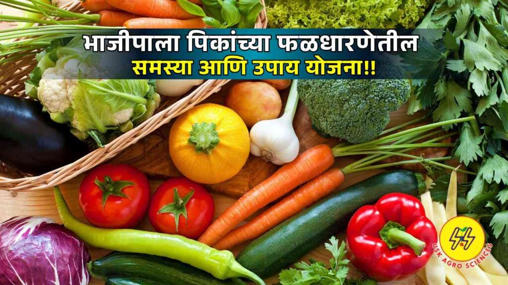 Vegetable Crops 2025