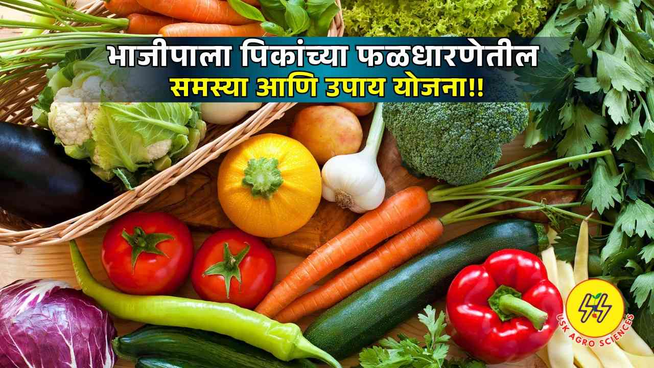 Vegetable Crops 2025