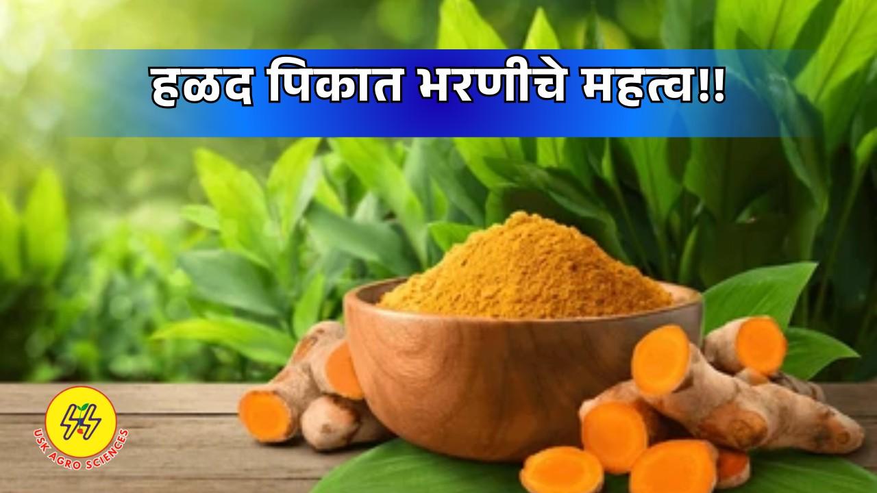 Importance of Fertilization 2025